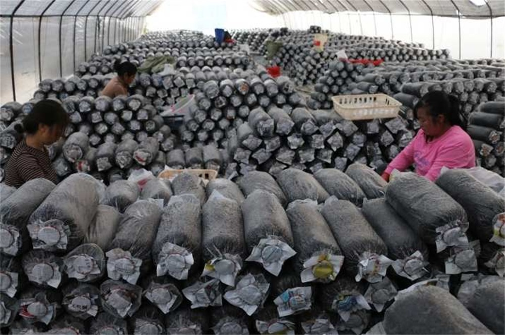 202311111699685047503242.png 094cff9aac8a9527e948f5febcddd3c2.png