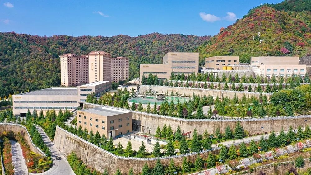 202311161700107042116920.jpg 640 (6).JPG