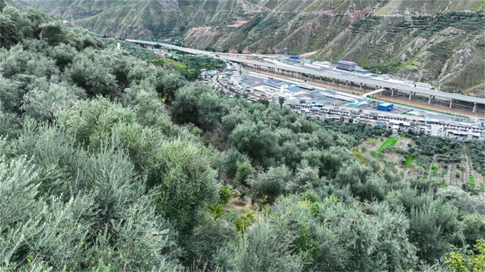 202407041720077610921857.jpg XxjrmtC007004_20240704_CBMFN0A010.jpg