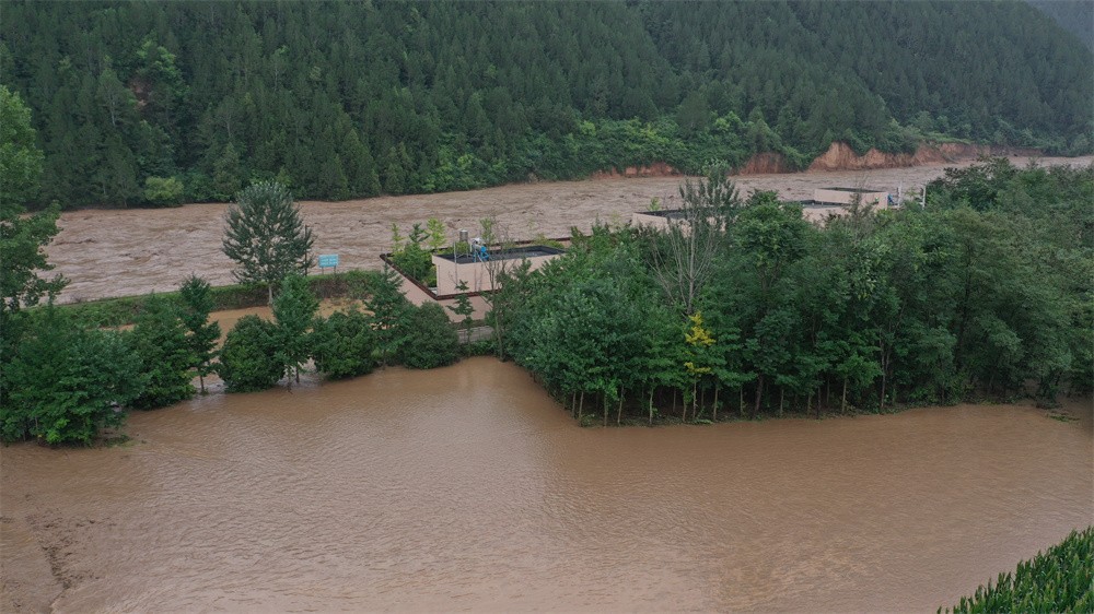 202407251721877223139892.jpg 1.jpg