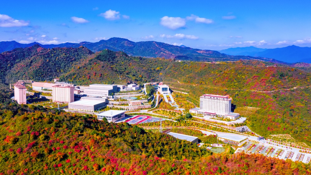 202412141734157852197316.jpg 1.jpg